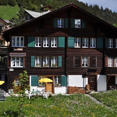 Studio Bim Chalet Bim Chilchli Mürren Exteriör bild